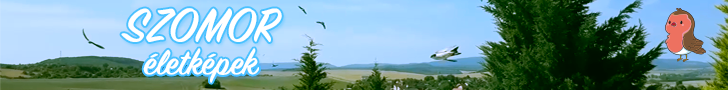 Szomor életképek